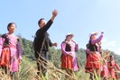 Trải nghiệm du lịch cộng đồng ở bản dân tộc Mông
