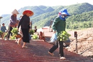 Bắc Yên: Phát triển kinh tế - xã hội vùng dân tộc thiểu số, ưu tiên giải quyết những vấn đề cấp thiết
