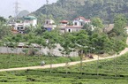 Nông thôn mới từ bản đến xã ở Phổng Lái