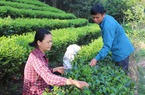 Xung phong thế chấp sổ đỏ giúp bà con vay vốn làm đường nông thôn mới