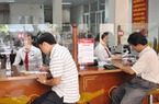 Agribank tạo động lực phát triển nông nghiệp sạch ở Quảng Trị