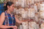 Thử trồng nấm ai ngờ thu nhập trên 200 triệu đồng/năm