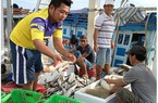 Nông thủy sản Việt rộng cửa vào thị trường Úc