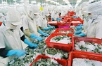 Muốn tận dụng lợi ích từ EVFTA, cần phòng vệ thương mại trước (Bài 2)