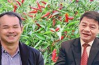 Thaco đã “rót” bao nhiêu tiền vào Nông nghiệp Quốc tế Hoàng Anh Gia Lai?