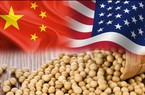 Tạp chí Phố Wall nghi hoặc chuyện Trung Quốc cam kết mua 50 tỷ tấn nông sản Mỹ