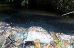 Vụ ô nhiễm nước sạch sông Đà: Sếp Cty gốm sứ đối nhau chan chát