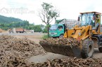 Giá nhích lên, xuất khẩu sắn Việt Nam có dấu hiệu khởi sắc