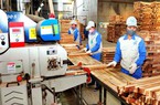 Trùng với các sản phẩm Trung Quốc, gỗ Việt xuất khẩu đứng trước "cảnh báo đỏ"