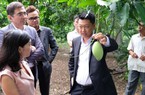 "Bắt tay" với đối tác ngoại, rau quả rộng cửa sang thị trường Hàn Quốc