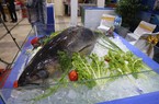 Cá ngừ đại dương xuất hiện ở Hội chợ sản phẩm thủy sản 2019