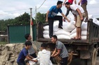Cấp hơn 300 tấn gạo hỗ trợ học sinh vùng đặc biệt khó khăn ở Quảng Ninh 