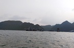 Quảng Ninh: Lo du lịch trá hình, rà soát tuyến tàu Tuần Châu – Cát Bà