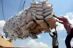 Giá xuống mức thấp nhất sau 12 năm, gạo Việt gian nan đường xuất khẩu