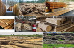 Xuất khẩu gỗ vượt kỷ lục vẫn “khát” nhân lực chất lượng cao