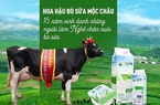  “Hoa hậu bò sữa Mộc Châu” từ chối đề nghị chào mua của Vinamilk