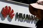 Đến lượt viện nghiên cứu khoa học cũng cấm nhân viên Huawei