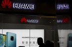 Đến lượt Canada có thể "cấm cửa" Huawei