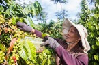 Bayer nỗ lực đóng góp phát triển nông nghiệp bền vững tại Việt Nam
