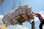 An Giang: Kim ngạch xuất khẩu gạo 4 tháng tăng 33%