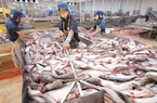 Xuất khẩu cá tra tăng mạnh, lợi nhuận quý I của Vĩnh Hoàn tăng gấp 3 lần cùng kỳ