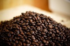 Thị trường cà phê ngày 14/5: Dứt đà tăng, đảo chiều giảm nhẹ 