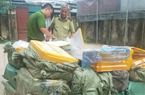 Hà Nội: Tạm giữ 1,35 tấn nầm lợn không có nguồn gốc