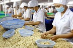 Doanh nghiệp Việt tìm hướng đẩy mạnh xuất khẩu sang Singapore