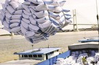 Xuất khẩu gạo của Việt Nam phải tính chuyện đường dài