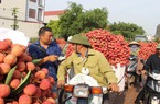 Hàng trăm thương nhân Trung Quốc mua vải thiều ở Bắc Giang