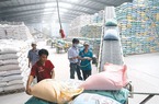 Xuất khẩu gạo gặp khó: Tìm một hướng đi bền vững