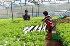 Nông sản Việt trước “vận hội” FTA thế hệ mới