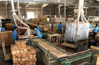 Thúc đẩy doanh nghiệp chế biến gỗ và thủy sản thực hành trách nhiệm xã hội