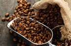 Giá cà phê giảm mạnh, nhiều nơi chạm mốc 32.000 đồng/kg