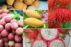 Thiếu chuỗi giá trị, trái cây Việt Nam khó xuất khẩu