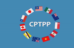 7 tháng thực thi CPTPP: Cán cân thương mại tăng trưởng tích cực