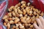 La liệt sâu dừa, rau đắng, nấm ngọc cẩu "tăng lực" ở chợ Tủa Chùa