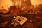 Cháy rừng kinh hoàng ở Australia: bảo hiểm trả hàng nghìn tỷ bồi thường 
