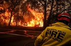 Chuyên gia khuyên Australia cắt giảm lãi suất, tránh kinh tế đi lùi vì thảm họa cháy rừng