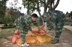 Lạng Sơn: Bắt hơn 3 tạ thịt lợn vượt đường mòn qua biên giới