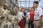 Gần 6,5 triệu lượt hộ nghèo được vay vốn theo phương thức ủy thác