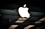 Kiện đối tác, Apple tự vạch trần sự dối trá của mình