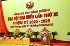 Bình Dương: Thu hút đầu tư nước ngoài đạt 11,51 tỷ USD
