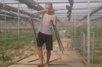 Quảng Nam: Khuyết tật đôi tay, 8x "đánh liều" thế chấp nhà đất làm nông nghiệp hữu cơ
