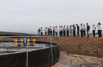 Quảng Ninh: "Đi sau về trước" trong nuôi tôm thâm canh bằng công nghệ Biofloc