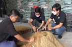 Đồng Nai: 2 anh thạc sỹ và 1 chàng kỹ sư rủ nhau bỏ việc về trồng nấm rơm công nghệ cao, lời 90 triệu/tháng