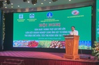 Supe Lâm Thao đồng hành cùng nông dân Thái Bình sản xuất trồng trọt quy mô lớn 