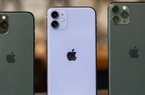 Giá iPhone 11 Pro và 11 Pro Max giảm không phanh