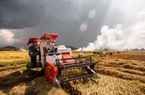 Cho vay Hợp vốn góp phần thúc đẩy phát triển kinh tế bền vững