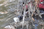 TT-Huế: Hãi hùng hàng loạt xác lợn đang phân hủy nổi ven sông gần lò mổ 